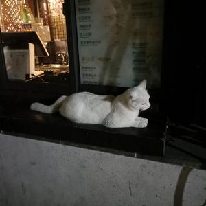 二次元美女开腿害羞图
