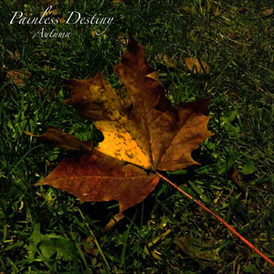 二次元美女开腿害羞图
