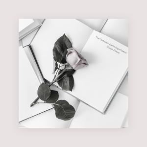 二次元美女开腿害羞图
