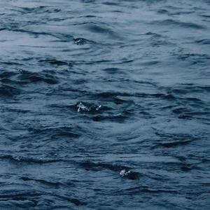 二次元美女开腿害羞图
